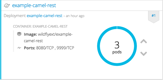 openshift standalone pods